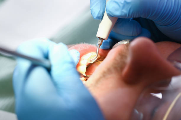 Best Emergency Pediatric Dental Care in Owenton, KY